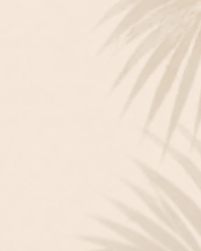 Soft palm shadows across a warm ivory wall in bright daytime light.